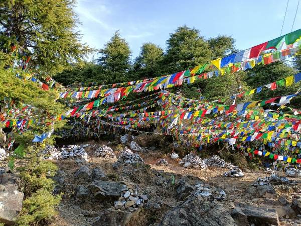 Dharamkot naddi forest walk