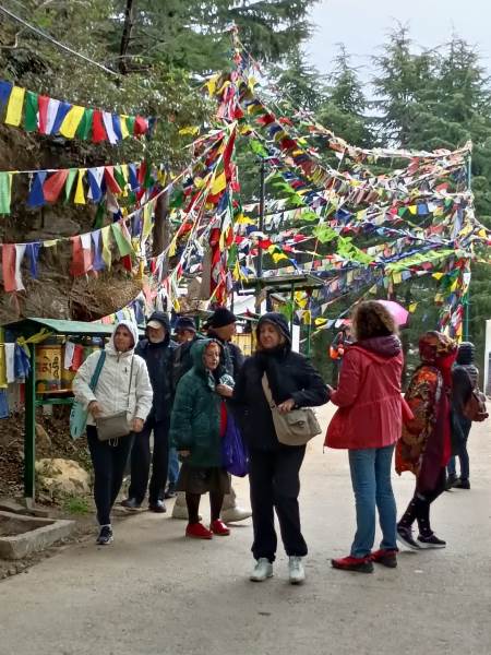 dharamshala city tour